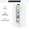 Холодильник Liebherr RBa 4250 купить за 164&nbsp;070.27 ₽ в Москве с доставкой по РФ