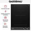 Варочная панель Gaggenau VI242120 купить за 129&nbsp;999 ₽ в Москве с доставкой по РФ