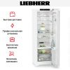 Холодильник Liebherr RBc 5220 Plus - купить онлайн, цена 127 000.20 ₽, стоимость доставки по МСК и РФ от 300 рублей, заказать сейчас! Холодильник Liebherr RBc 5220 Plus купить за 127 000.20 ₽ в Москве с доставкой по РФ