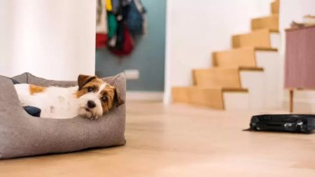 Робот-пылесос Miele Scout RX 3 OBSW черный - купить онлайн, цена 95 600 ₽, стоимость доставки по МСК и РФ от 300 рублей, заказать сейчас! Робот-пылесос Miele Scout RX 3 OBSW черный купить за 95 600 ₽ в Москве с доставкой по РФ