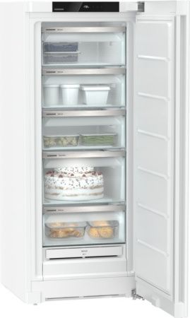 Морозильник Liebherr FNe 4605 купить за 110&nbsp;000.20 ₽ в Москве с доставкой по РФ