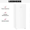Холодильник Liebherr Rf 4600 Pure купить за 85&nbsp;000.42 ₽ в Москве с доставкой по РФ