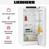 Холодильник Liebherr Rd 4200 Pure - купить онлайн, цена 83 000.21 ₽, стоимость доставки по МСК и РФ от 300 рублей, заказать сейчас! Холодильник Liebherr Rd 4200 Pure купить за 83 000.21 ₽ в Москве с доставкой по РФ