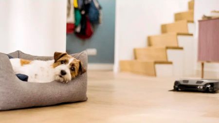 Робот-пылесос Miele SPQL Scout RX 3 Runner купить за 105&nbsp;300 ₽ в Москве с доставкой по РФ