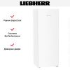 Холодильник Liebherr Rf 5000 Pure - купить онлайн, цена 100 000.42 ₽, стоимость доставки по МСК и РФ от 300 рублей, заказать сейчас! Холодильник Liebherr Rf 5000 Pure купить за 100 000.42 ₽ в Москве с доставкой по РФ