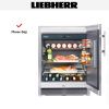 Холодильник Liebherr OKes 1750 купить за 320&nbsp;000.20 ₽ в Москве с доставкой по РФ
