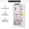 Холодильник Liebherr Rd 5000 Pure купить за 94&nbsp;000.48 ₽ в Москве с доставкой по РФ