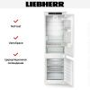 Встраиваемый холодильник Liebherr ICNSd 5123 купить за 165&nbsp;000.80 ₽ в Москве с доставкой по РФ