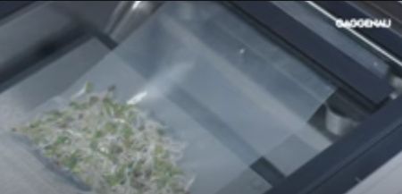 Вакууматор Gaggenau DVP 221-130 купить за 299&nbsp;990 ₽ в Москве с доставкой по РФ