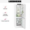 Холодильник Liebherr CBNd 5223 Plus BioFresh NoFrost купить за 120&nbsp;240.35 ₽ в Москве с доставкой по РФ