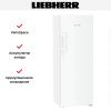 Морозильная камера Liebherr FNd 5056 Prime NoFrost купить за 273&nbsp;390.46 ₽ в Москве с доставкой по РФ