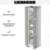 Холодильник Liebherr RBsdd 5250 - купить онлайн, цена 239 990.13 ₽, стоимость доставки по МСК и РФ от 300 рублей, заказать сейчас! Холодильник Liebherr RBsdd 5250 купить за 239 990.13 ₽ в Москве с доставкой по РФ