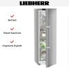 Холодильник Liebherr RBsdd 5250 - купить онлайн, цена 239 990.13 ₽, стоимость доставки по МСК и РФ от 300 рублей, заказать сейчас! Холодильник Liebherr RBsdd 5250 купить за 239 990.13 ₽ в Москве с доставкой по РФ