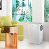 Мобильный кондиционер Electrolux EACM-15 CL/N3 купить за 52&nbsp;120 ₽ в Москве с доставкой по РФ