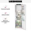 Встраиваемый холодильник Liebherr IRBdi 5151 - купить онлайн, цена 219 990.39 ₽, стоимость доставки по МСК и РФ от 300 рублей, заказать сейчас! Встраиваемый холодильник Liebherr IRBdi 5151 купить за 219 990.39 ₽ в Москве с доставкой по РФ