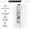 Холодильник Liebherr RBa 4250 купить за 164&nbsp;070.27 ₽ в Москве с доставкой по РФ