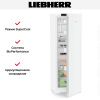 Холодильник Liebherr SRd 5220 - купить онлайн, цена 110 000.19 ₽, стоимость доставки по МСК и РФ от 300 рублей, заказать сейчас! Холодильник Liebherr SRd 5220 купить за 110 000.19 ₽ в Москве с доставкой по РФ