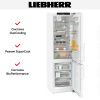 Холодильник Liebherr CNd5753 купить за 165&nbsp;000.46 ₽ в Москве с доставкой по РФ