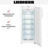 Морозильник Liebherr GNP 2356 Premium NoFrost купить за 188&nbsp;690.31 ₽ в Москве с доставкой по РФ