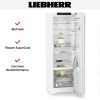 Холодильник Liebherr RBc 5220 Plus - купить онлайн, цена 127 000.20 ₽, стоимость доставки по МСК и РФ от 300 рублей, заказать сейчас! Холодильник Liebherr RBc 5220 Plus купить за 127 000.20 ₽ в Москве с доставкой по РФ