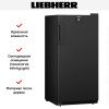 Винный шкаф Liebherr WSbl 4201 - купить онлайн, цена 154 000.29 ₽, стоимость доставки по МСК и РФ от 300 рублей, заказать сейчас! Винный шкаф Liebherr WSbl 4201 купить за 154 000.29 ₽ в Москве с доставкой по РФ