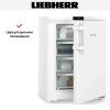 Морозильник Liebherr FNdi 1624 купить за 66&nbsp;000.26 ₽ в Москве с доставкой по РФ