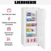 Морозильник Liebherr GP 2433 Comfort купить за 118&nbsp;290.70 ₽ в Москве с доставкой по РФ