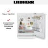 Встраиваемый холодильник Liebherr URd 3600 - купить онлайн, цена 110 000.34 ₽, стоимость доставки по МСК и РФ от 300 рублей, заказать сейчас! Встраиваемый холодильник Liebherr URd 3600 купить за 110 000.34 ₽ в Москве с доставкой по РФ