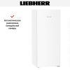 Холодильник Liebherr Rf 4600 Pure купить за 85&nbsp;000.42 ₽ в Москве с доставкой по РФ