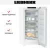 Морозильник Liebherr FNd 6625 купить за 176&nbsp;000.70 ₽ в Москве с доставкой по РФ