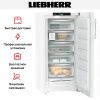 Морозильник Liebherr FNc 667i Peak купить за 233&nbsp;890.47 ₽ в Москве с доставкой по РФ